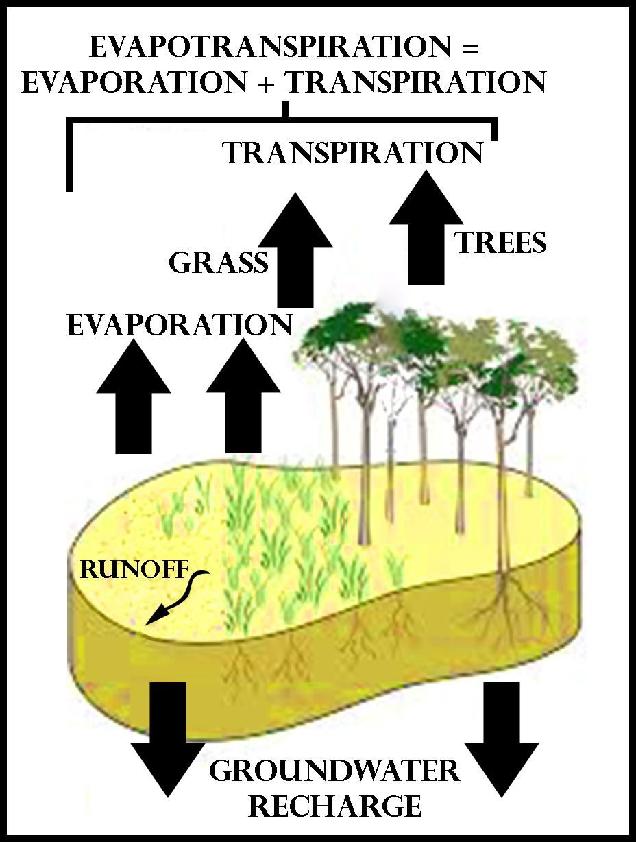 Explain How Groundwater Is Recharged 