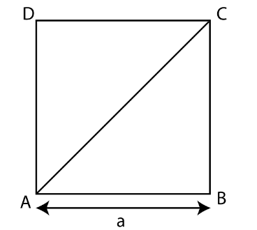 The side of the square is 8 cm. Find the length of its diagonal.