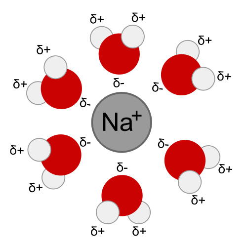 explain-ion-dipole-interaction-with-suitable-examples