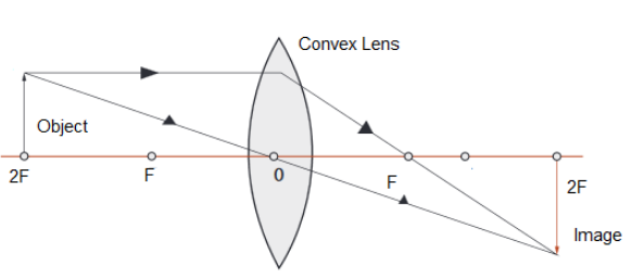 Draw a diagram to represent the nature, position and relative size of ...