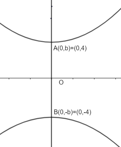 How Do You Write The Equation For A Hyperbola Given Class 11 Maths Cbse