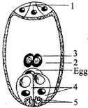 Identify 1, 2, 3, 4 and 5 structures shown in the figure of a female ...