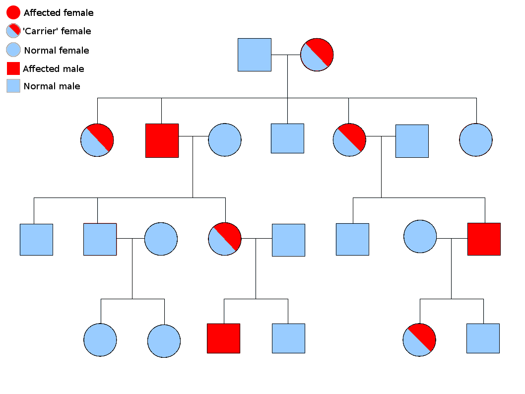 Why Is Pedigree Analysis Done In The Study Of Human Genetics State The 