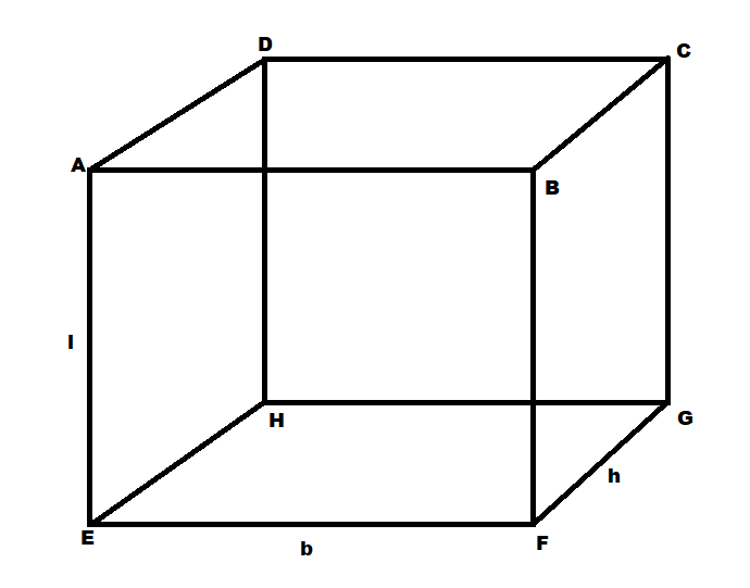 In the given figure name the four diagonal of the cuboid?\n \n \n \n \n