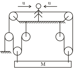 The System Is Shown In The Figure And The Man Is Pulling Class 11 Physics Cbse