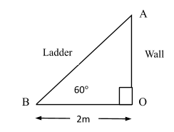 A ladder is placed along a wall of a house such that its upper end is ...