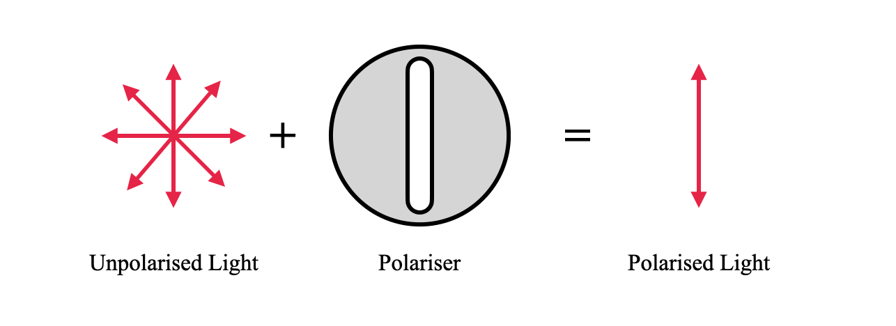 What is polarisation of light Explain polarisation class 12 physics CBSE