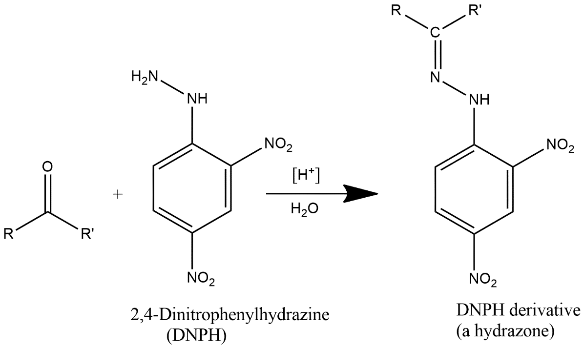 carbonyl aldehyde
