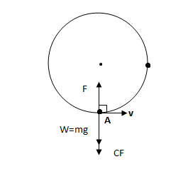 For a particle moving in vertical circle, the total energy at different ...