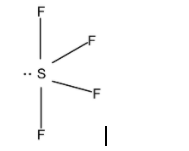 The Molecular Shapes Of Sf4 Cf4and Xef4 Are Athe Same Class 11 