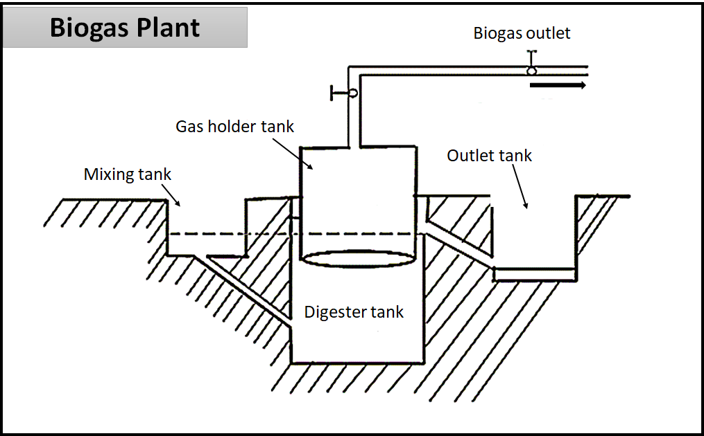 Unlabelled Diagram Of Biogas Plant Draw A Diagrammatic Sketch Of Biogas ...