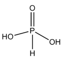 Draw the structure of the following molecules:(i) $XeO{F_4}$\t(ii) ${H ...