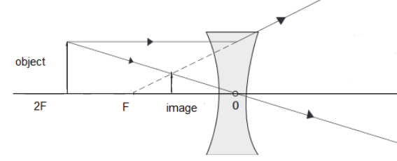 Draw a diagram to represent the nature, position and relative size of ...