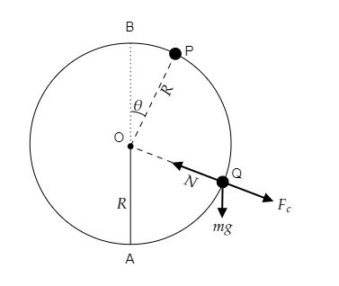 A particle is projected along the inner surface of a smooth vertical ...