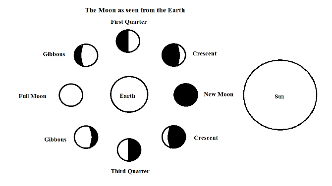 At which phase the moon is nearest to the sun?(A) New Moon(B) Full Moon ...