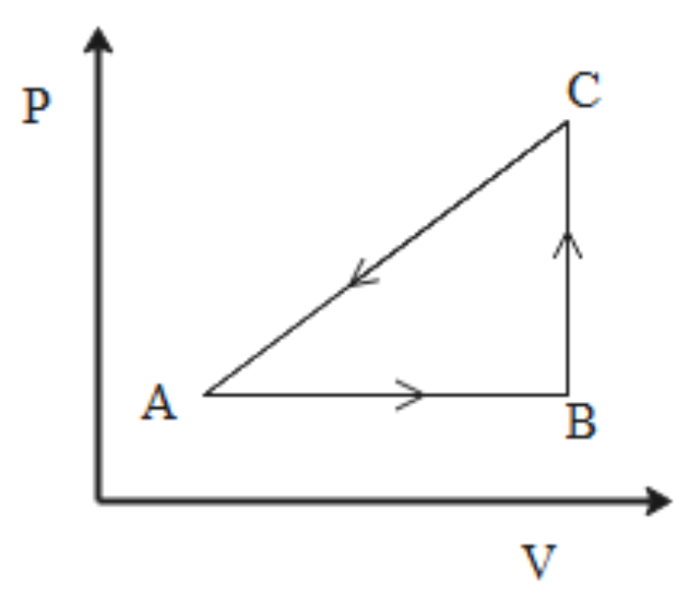 The Pv Diagram Of The System Undergoing Thermodynamic Class 12 Physics Cbse