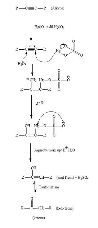 The Reaction Of Cyclooctyne With Hgso4 In The Presence Class 12 Chemistry Cbse