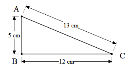 Find the area of the triangle with 5cm, 12cm, 13cm.