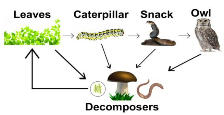 decomposer examples