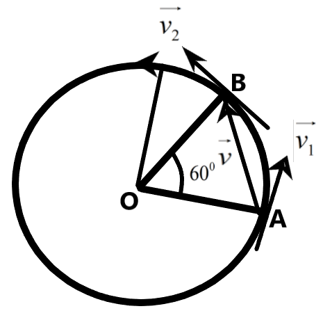 A particle is moving along a circular path with a constant speed of ...