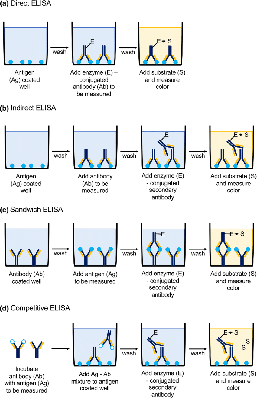 Indirect Elisa Hiv