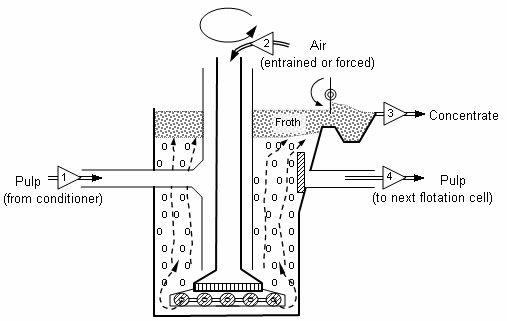 Froth floatation process of concentration is based on the:A ...