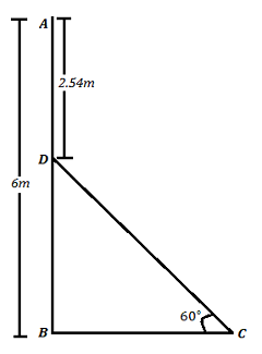 In Figure, AB is a 6 m high pole and CD is a ladder inclined at an ...