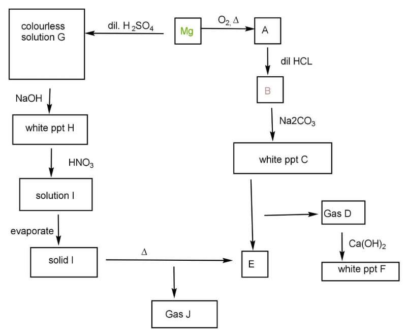 The following are two reaction-schemes involving magnesium. Find ...