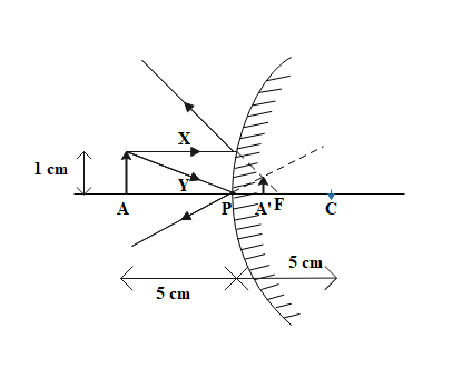 Draw the ray diagram to show the formation of an image class 12 physics