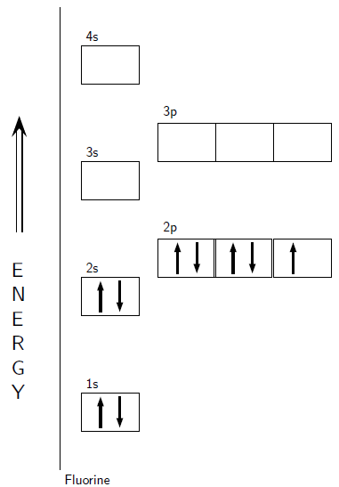 How do electrons fill orbitals?