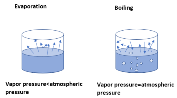 explain-why-evaporation-is-accompanied-by-cooling