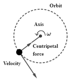 Explain the centripetal force.