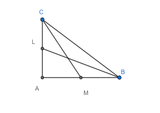 BL And BM Are The Medians Of A Right-angled Triangle ABC, Right-angled ...