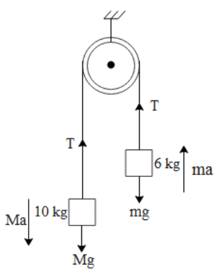 A light string passes over a frictionless pulley. To one of its ends a ...