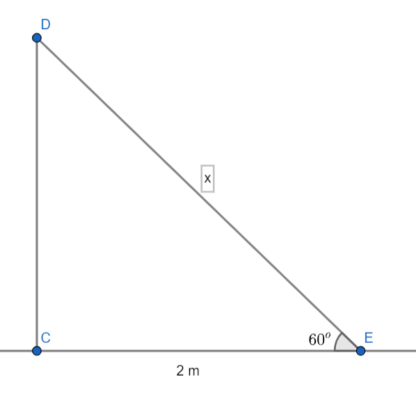 A ladder makes an angle of 60o with the ground when class 10 maths CBSE