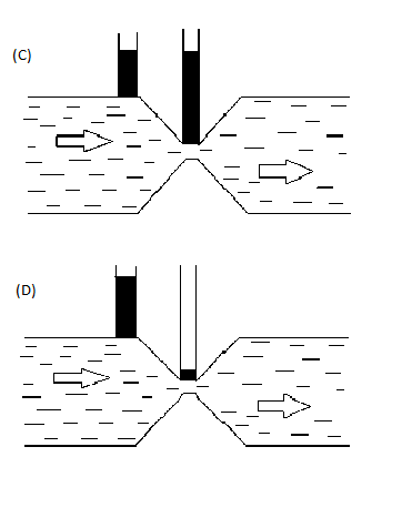 Which Of The Following Figures Shown Below Is Correct Regarding The ...