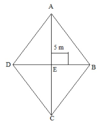 A Rhombus Sheet, Whose Perimeter Is $32$ M And Whose One Diagonal Is 