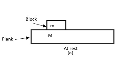 A Block Is Placed Over A Large Plank Plank Is Kept Class 11 Physics Cbse