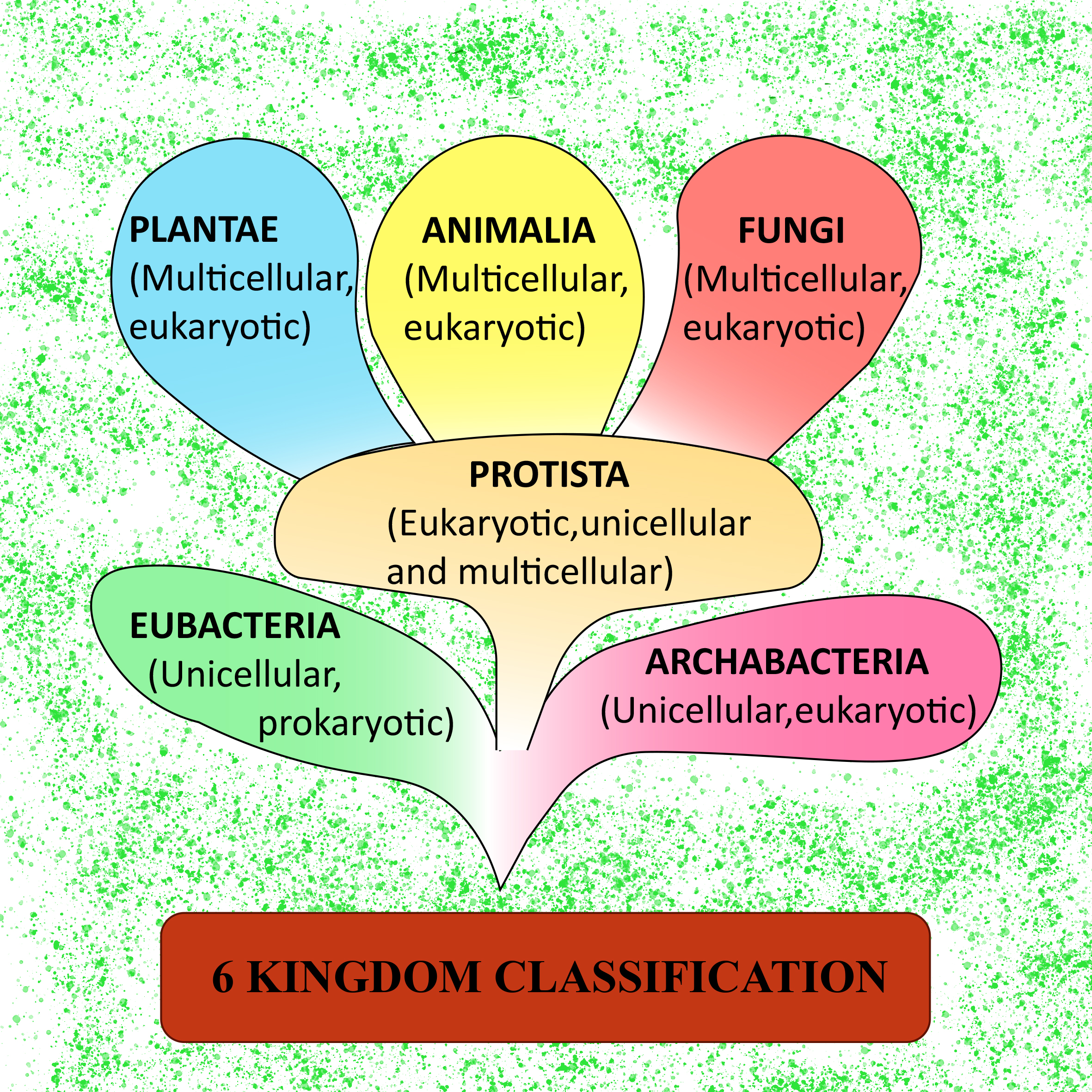 Gambar Six Kingdom Classification