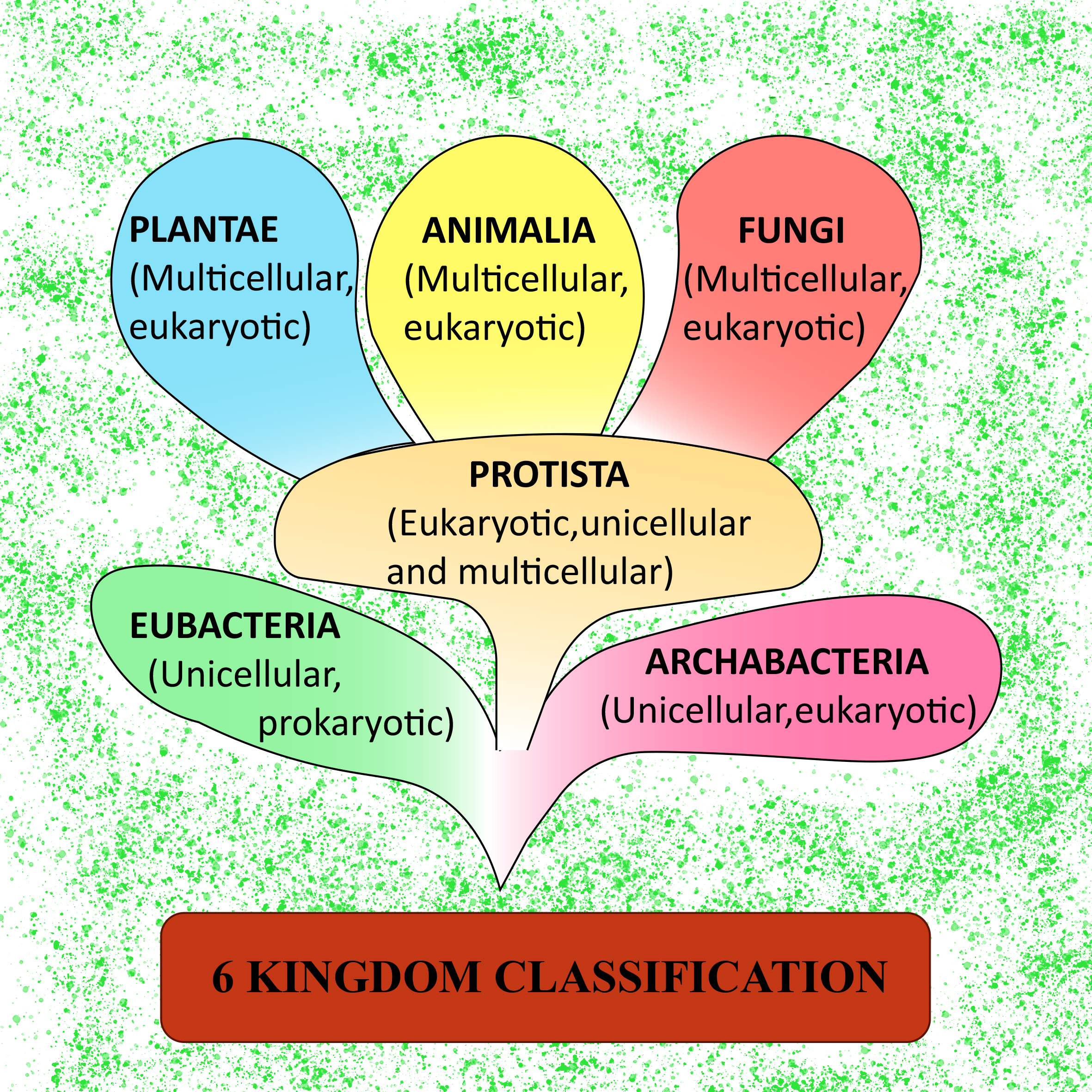 Six Kingdom Classification Was Suggested By 