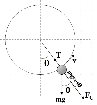 A 2kg stone at the end of a string 1m long is whirled in a vertical ...