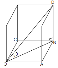 The inner part of a cupboard is of cuboidal shape with its length ...