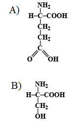 which formula represents an amino acid