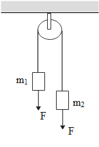 In the figure, ${{m}_{1}}=5kg$, ${{m}_{2}}=2kg$ and $F=1N$. Find the ...