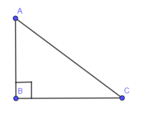 All the three sides of the right triangle are integers and one side has ...