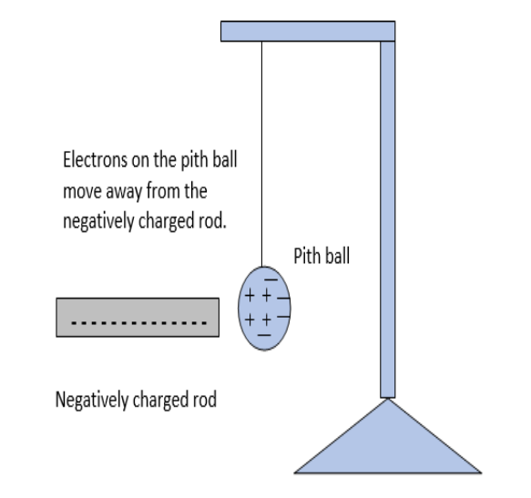 A rod is brought near an uncharged pith ball electroscope. What ...