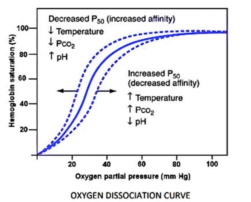 What is the effect of p${ CO }_{ 2 }$ on oxygen transport?