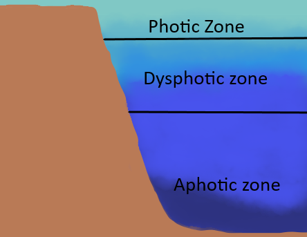 Aquatic photo diffraction produces zones, like:(A) Euphotic, disphotic ...