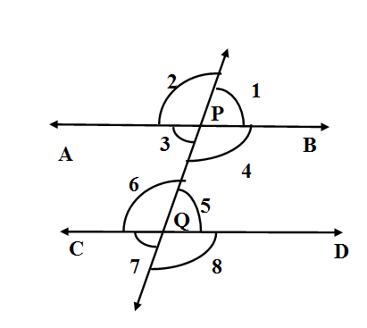 If two parallel lines are intersected by a transversal, then pairs of ...