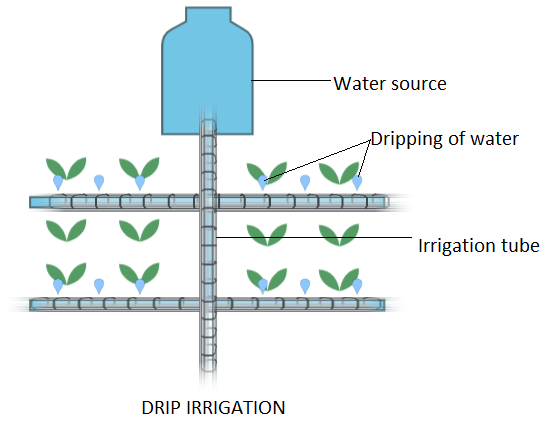 furrow irrigation diagram